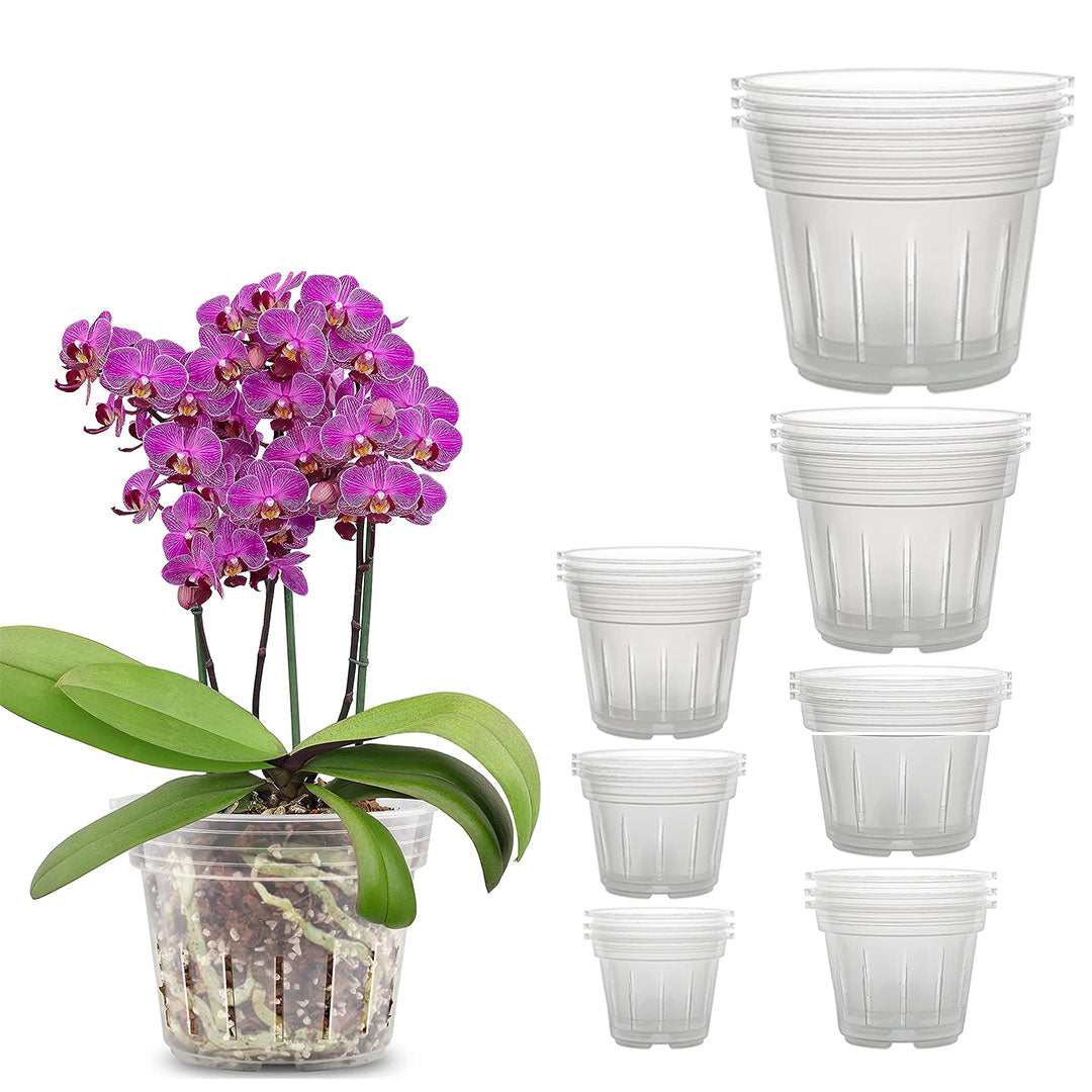 Clear Orchid Pots: Perfect Transparency for Root Observation – TMH ...