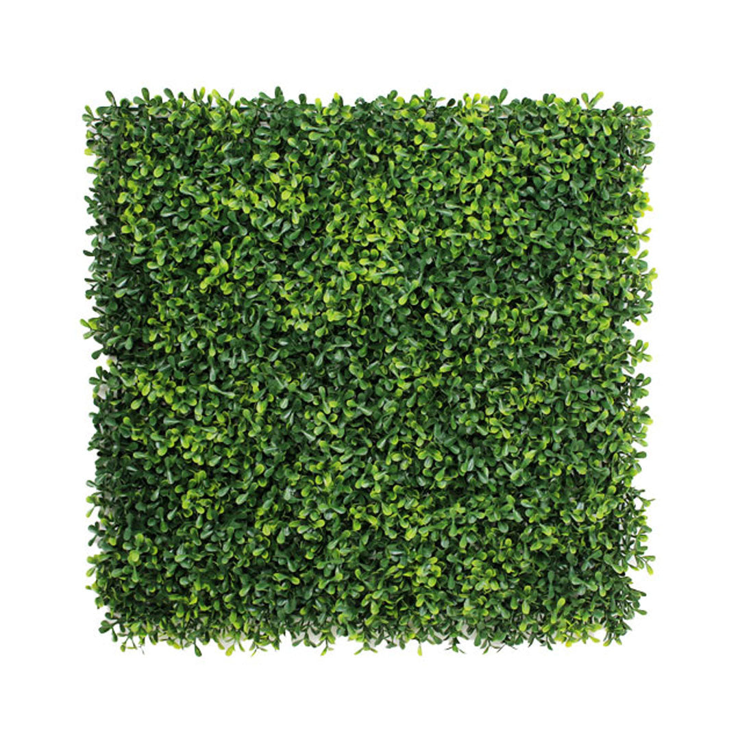 Envywall Boxwood Lite | Premium Artificial Plant Wall – TMH Industries