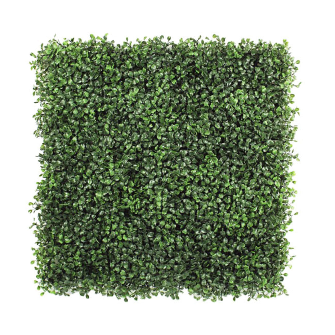 Envywall Boxwood | Premium Artificial Plant Wall Calgary – TMH Industries