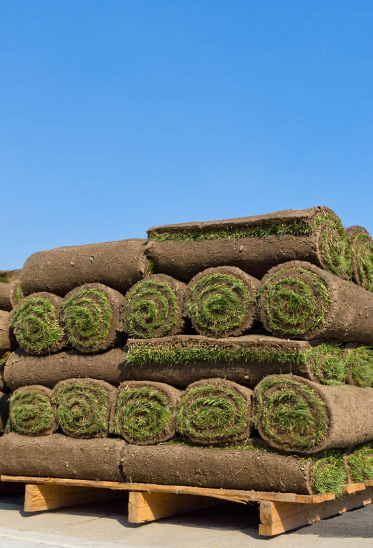 Sod Supply - TMH Industries