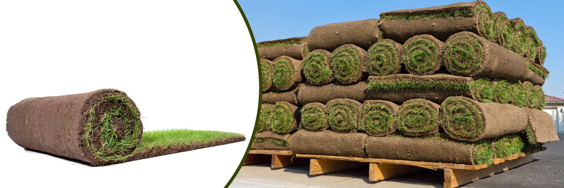 Sod Supply - TMH Industries