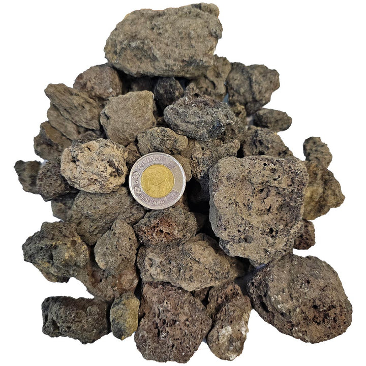 Black Lava Rock in Small Bag TMH Industries